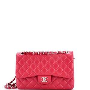 Chanel Classic Double Flap Bag Quilted #301760C49B